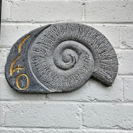 Full House For Up To Five People Family Friendly Free Parking Pets Welcome Lgbtq Friendly